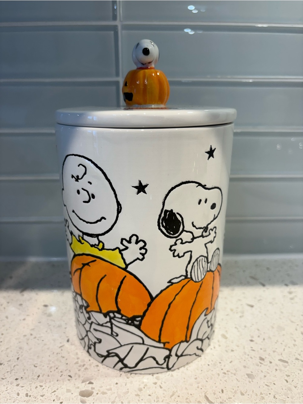NEW Peanuts Snoopy & Friends Hand painted Ceramic Large Jar Canister